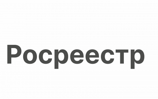 О признаках неосвоенной земли и условиях ее изъятия рассказала в эфире региональных новостей телеканала «Россия 1» заместитель руководителя новосибирского Росреестра